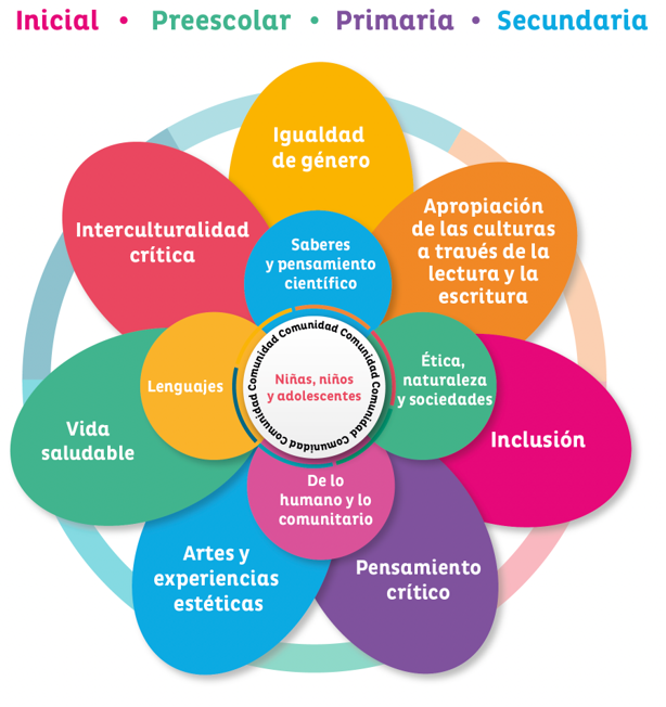 RESUMEN DEL NUEVO MODELO EDUCATIVO (Campos Formativos, Ejes, 44% OFF